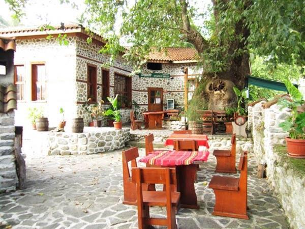 Комплекс Стария Чинар Melnik (Blagoevgrad) Bagian luar foto