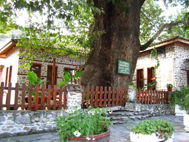 Комплекс Стария Чинар Melnik (Blagoevgrad) Bagian luar foto