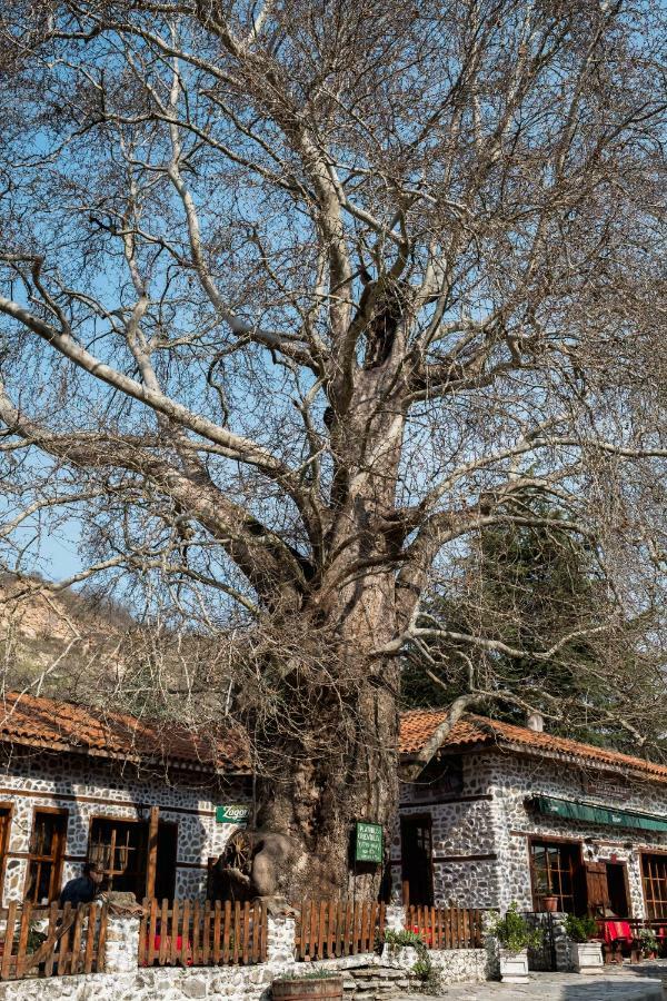Комплекс Стария Чинар Melnik (Blagoevgrad) Bagian luar foto