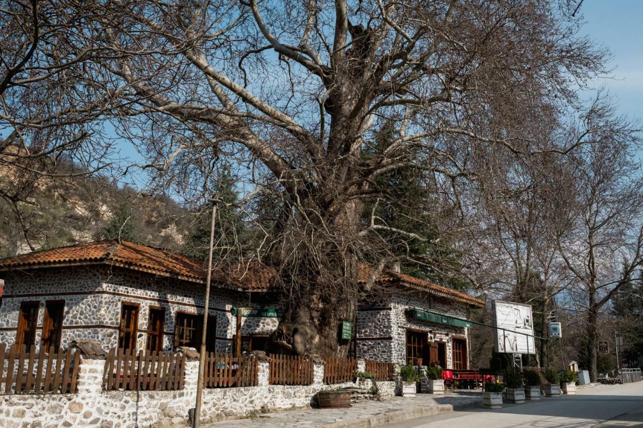 Комплекс Стария Чинар Melnik (Blagoevgrad) Bagian luar foto
